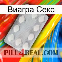 Виагра Секс 16